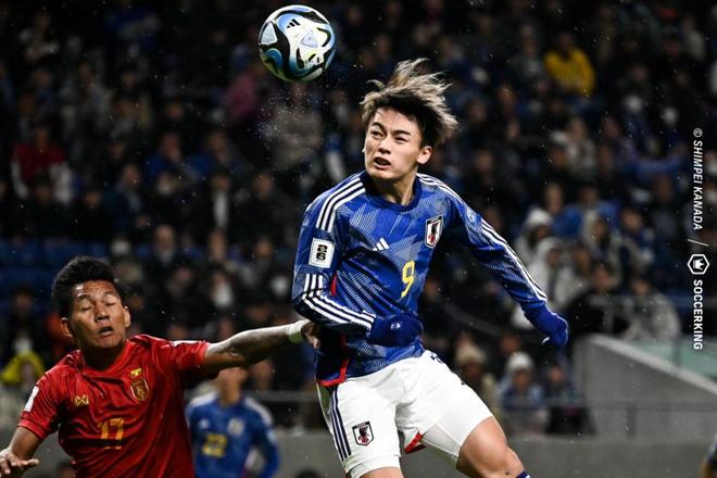 造力与多样 造力与多样