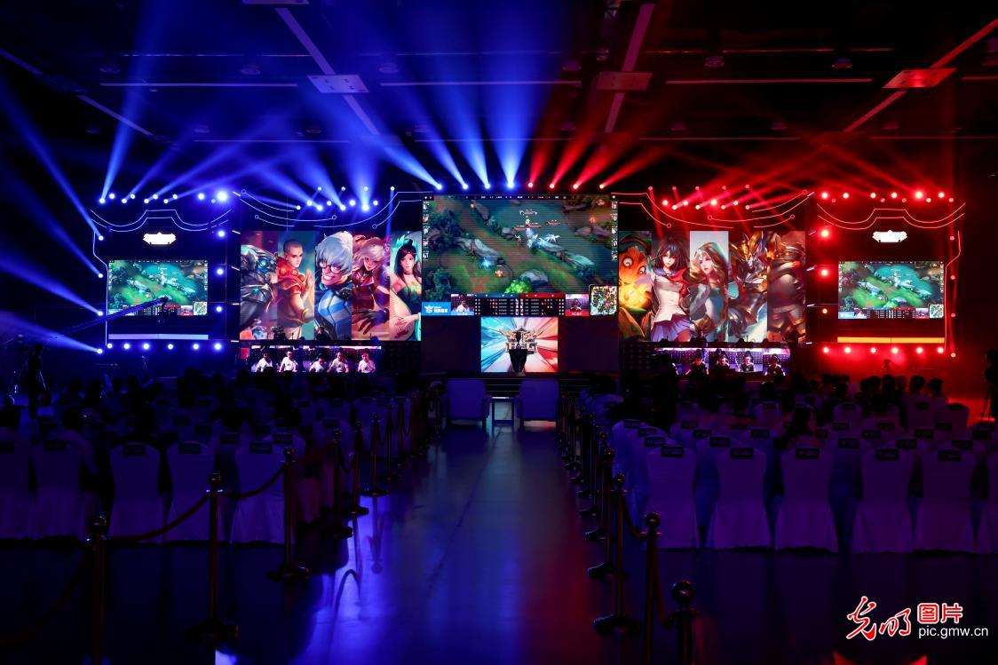 稳健表现 稳健表现